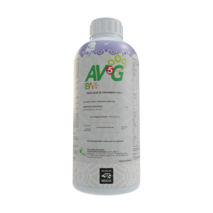 AV5G
