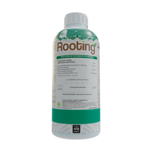 Rooting